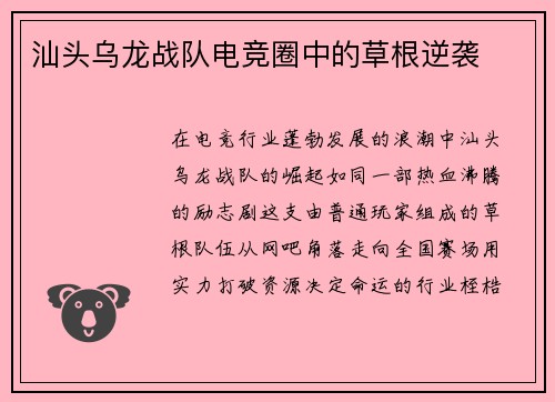汕头乌龙战队电竞圈中的草根逆袭